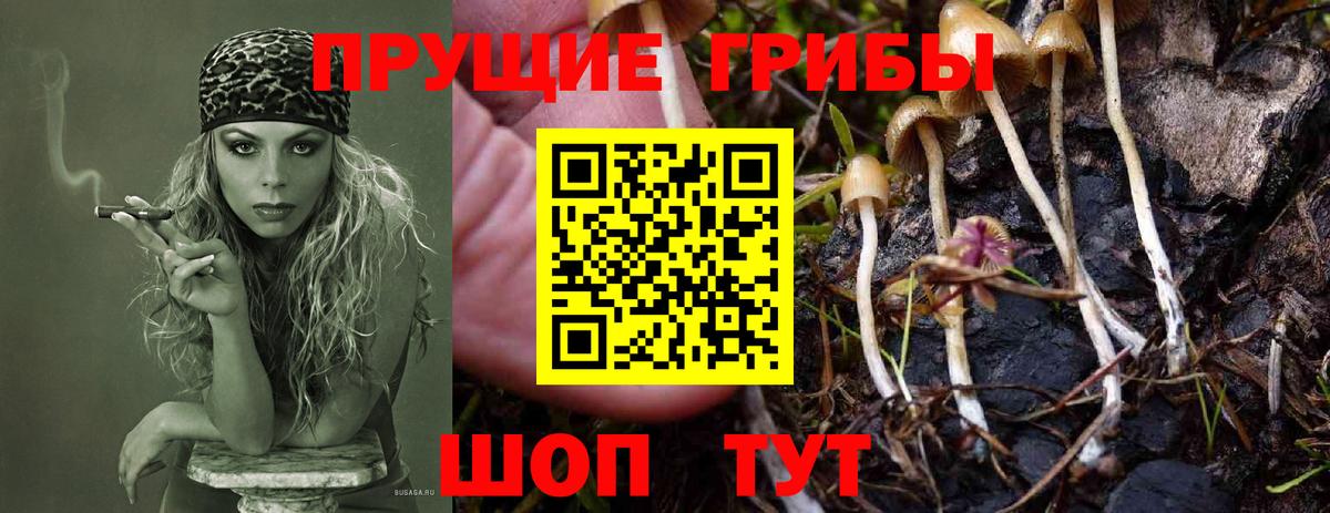 Галлюциногенные грибы мухоморы  Вход с VPN  Донецк 